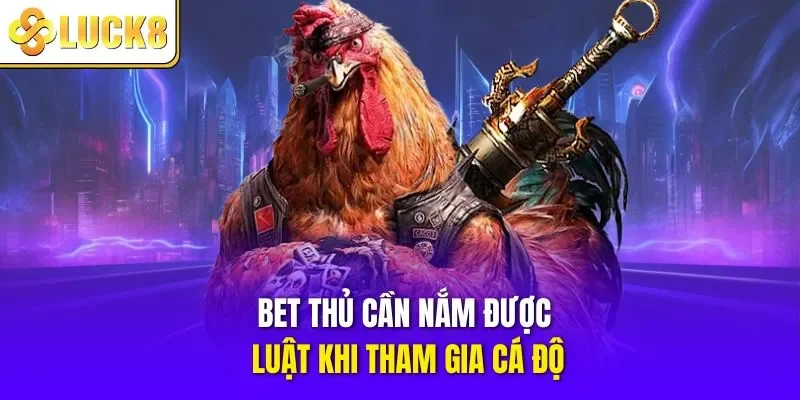 Cược thủ cần nắm được luật khi tham gia cá độ