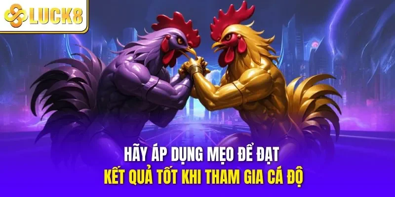 Hãy áp dụng mẹo để đạt kết quả tốt khi tham gia cá độ