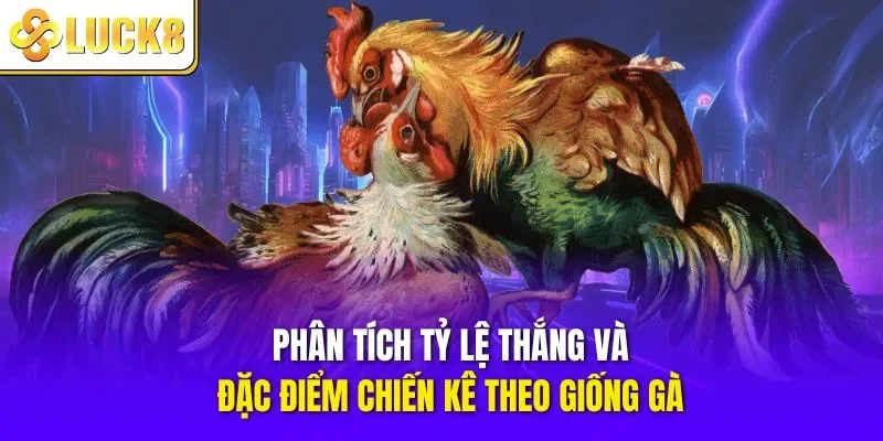 Phân tích tỷ lệ thắng và đặc điểm chiến kê theo giống gà